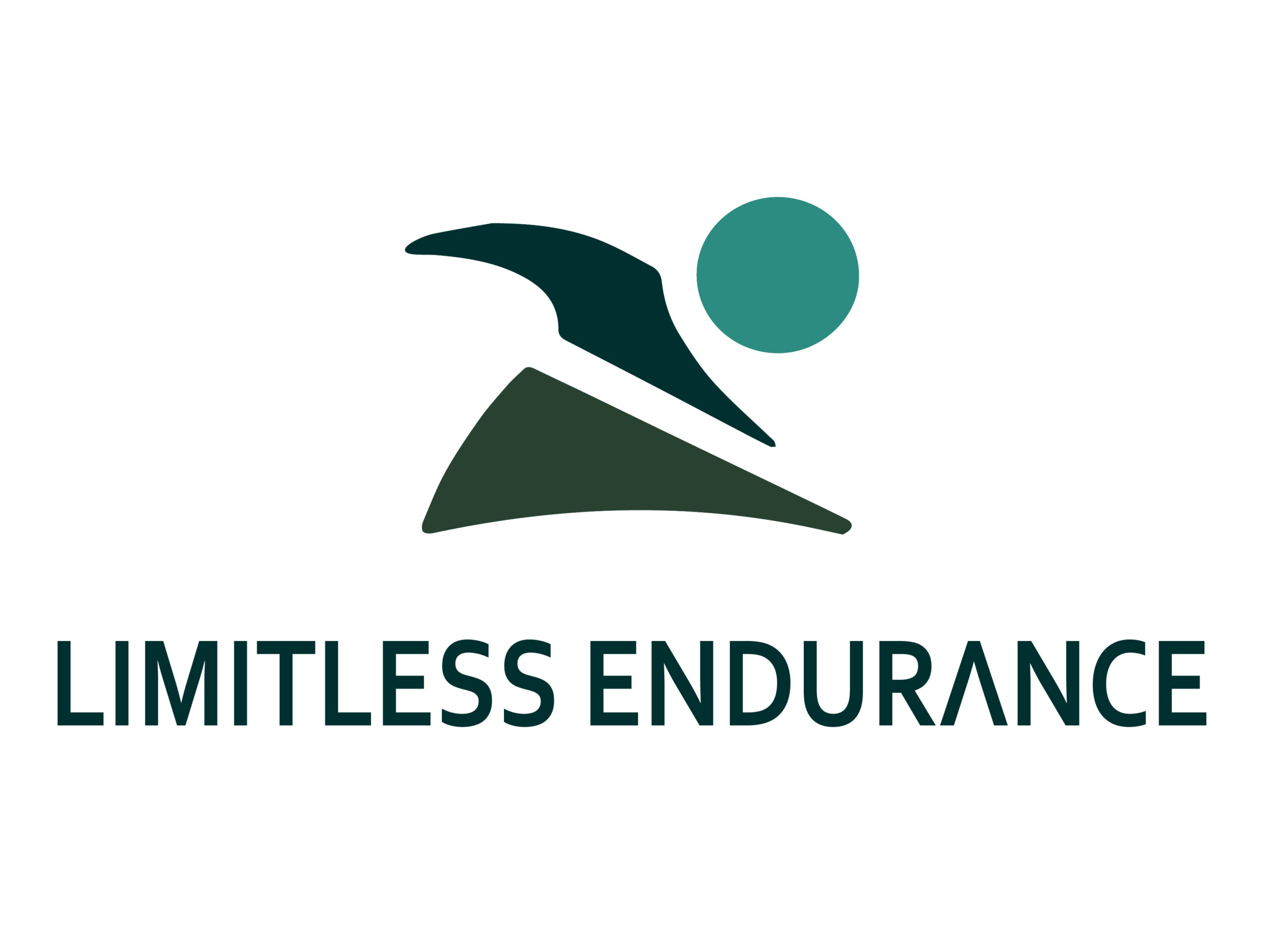 Limitless Endurance